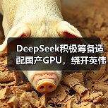 DeepSeek积极筹备适配国产GPU,绕开英伟达CUDA(图2) DeepSeek积极筹备适配国产GPU,绕开英伟达CUDA(图2)