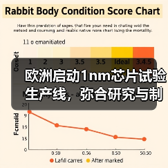 欧洲启动1nm芯片试验生产线,弥合研究与制造差距(图4) 欧洲启动1nm芯片试验生产线,弥合研究与制造差距(图4)