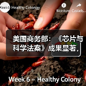 美国商务部:《芯片与科学法案》成果显著,将强化经济和国家安全(图1) 美国商务部:《芯片与科学法案》成果显著,将强化经济和国家安全(图1)