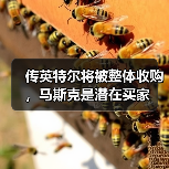 传英特尔将被整体收购,马斯克是潜在买家(图1) 传英特尔将被整体收购,马斯克是潜在买家(图1)