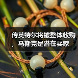传英特尔将被整体收购,马斯克是潜在买家(图4) 传英特尔将被整体收购,马斯克是潜在买家(图4)