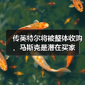 传英特尔将被整体收购,马斯克是潜在买家(图2) 传英特尔将被整体收购,马斯克是潜在买家(图2)
