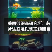美国彼得森研究所:芯片法案难以实现预期目标,需作四大方向调整(图2) 美国彼得森研究所:芯片法案难以实现预期目标,需作四大方向调整(图2)