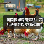 美国彼得森研究所:芯片法案难以实现预期目标,需作四大方向调整(图4) 美国彼得森研究所:芯片法案难以实现预期目标,需作四大方向调整(图4)