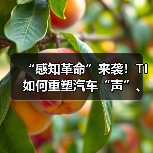 “感知革命”来袭！TI如何重塑汽车“声”、“智”体验（图1）
