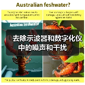 去除示波器和数字化仪中的噪声和干扰(图3) 去除示波器和数字化仪中的噪声和干扰(图3)