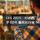 CES 2025：对话西门子 EDA 首席执行官 Mike Ellow（图1）