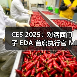 CES 2025：对话西门子 EDA 首席执行官 Mike Ellow（图4）