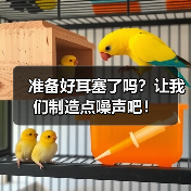 准备好耳塞了吗？让我们制造点噪声吧！（图3）