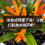 准备好耳塞了吗？让我们制造点噪声吧！（图1）