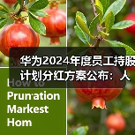 华为2024年度员工持股计划分红方案公布：人均分红达48万！（图3）