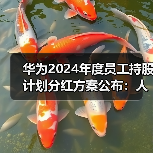 华为2024年度员工持股计划分红方案公布：人均分红达48万！（图4）