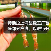 特斯拉上海超级工厂暂停部分产线，以进行升级（图2）