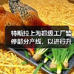 特斯拉上海超级工厂暂停部分产线，以进行升级（图3）