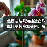 美国法院判海能达窃取摩托罗拉商业秘密，最高罚款6000万美元（图1）