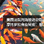 美国法院判海能达窃取摩托罗拉商业秘密，最高罚款6000万美元（图4）