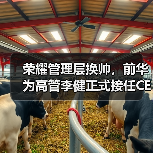 荣耀管理层换帅，前华为高管李健正式接任CEO（图2）