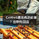 CoWoS遭英伟达砍单？台积电回应（图4）