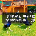 【蛇来运转】电子工程专辑给您拜年啦！（附年度最热新闻TOP25）（图4）