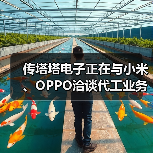 传塔塔电子正在与小米、OPPO洽谈代工业务（图3）
