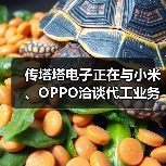 传塔塔电子正在与小米、OPPO洽谈代工业务（图1）