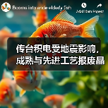 传台积电受地震影响，成熟与先进工艺报废晶圆合计高达6万片（图4）