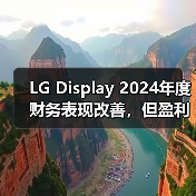 LG Display 2024年度财务表现改善，但盈利之路仍然艰难（图3）