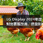 LG Display 2024年度财务表现改善，但盈利之路仍然艰难（图2）