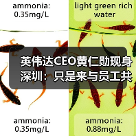 英伟达CEO黄仁勋现身深圳：只是来与员工共庆春节（图2）