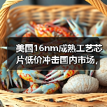 美国16nm成熟工艺芯片低价冲击国内市场，商务部启动调查（图3）