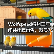 Wolfspeed得州工厂关闭并挂牌出售，裁员75人（图3）