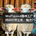 Wolfspeed得州工厂关闭并挂牌出售，裁员75人（图1）