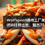 Wolfspeed得州工厂关闭并挂牌出售，裁员75人（图4）