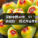 深耕中国40年，ST“双供应链” 模式开启本地化战略新篇章（图2）