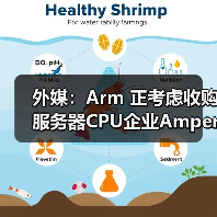 外媒：Arm 正考虑收购服务器CPU企业Ampere Computing（图3）