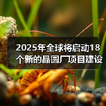 2025年全球将启动18个新的晶圆厂项目建设，中国有5个（图4）