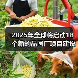 2025年全球将启动18个新的晶圆厂项目建设，中国有5个（图3）