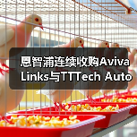 恩智浦连续收购Aviva Links与TTTech Auto，拓展智驾版图（图4）