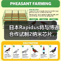 日本Rapidus将与博通合作试制2纳米芯片，最快6月提供芯片原型（图3）