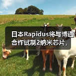 日本Rapidus将与博通合作试制2纳米芯片，最快6月提供芯片原型（图1）