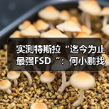 实测特斯拉“迄今为止最强FSD“：何小鹏找的两个BUG未解决，还新增5个问题（图3）
