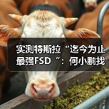 实测特斯拉“迄今为止最强FSD“：何小鹏找的两个BUG未解决，还新增5个问题（图2）
