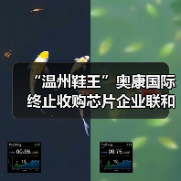 “温州鞋王”奥康国际终止收购芯片企业联和存储，复牌后股价跌停（图2）
