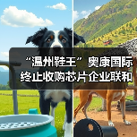 “温州鞋王”奥康国际终止收购芯片企业联和存储，复牌后股价跌停（图1）