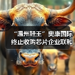 “温州鞋王”奥康国际终止收购芯片企业联和存储，复牌后股价跌停（图4）