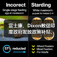 富士康、Dixon敦促印度政府发放政策补贴，称符合分配资金资格（图1）