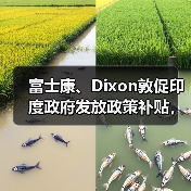 富士康、Dixon敦促印度政府发放政策补贴，称符合分配资金资格（图2）