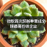 微软首次超越苹果成全球最高价值企业（图4）