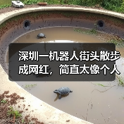 深圳一机器人街头散步成网红，简直太像个人了！（图3）