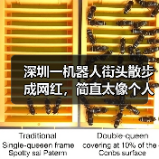 深圳一机器人街头散步成网红，简直太像个人了！（图4）